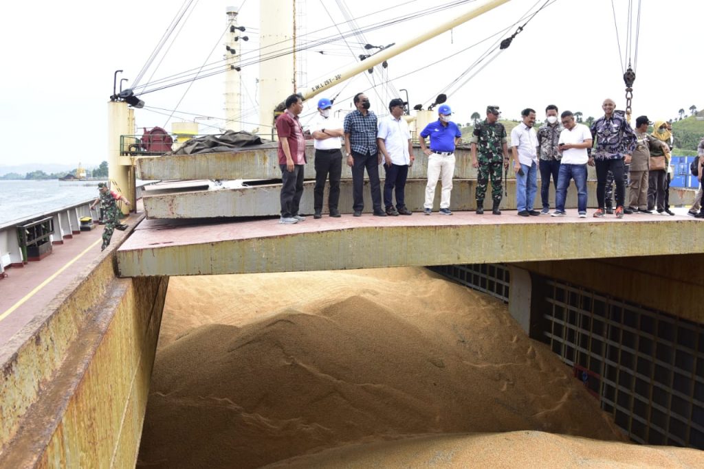 Ekspor jagung ke philipina