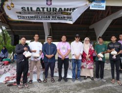 Sekretariat DPRD Provinsi Gorontalo Sembelih 10 Ekor Sapi Kurban di Masjid Djabbal Musyawarah